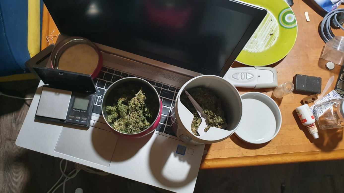 Marihuana i grzybki halucynogenne w ukrytych pokojach. Plantacja w centrum Łodzi