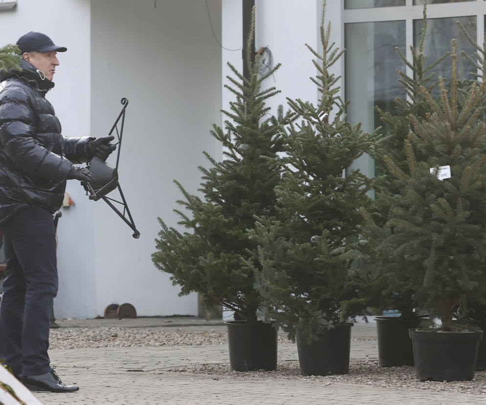 Kurski szykuje się na święta