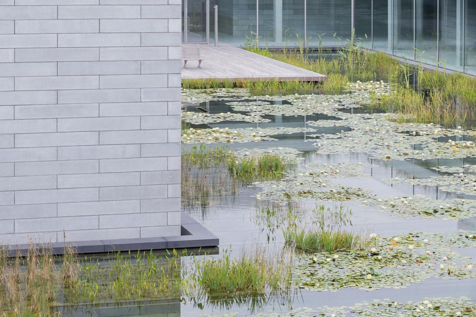 Glenstone Museum – największe prywatne muzeum sztuki w USA