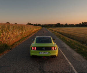 Ford Mustang GT 5.0 V8 55 Edition