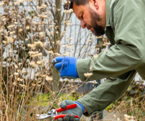 Wiosenne porządki w ogrodzie