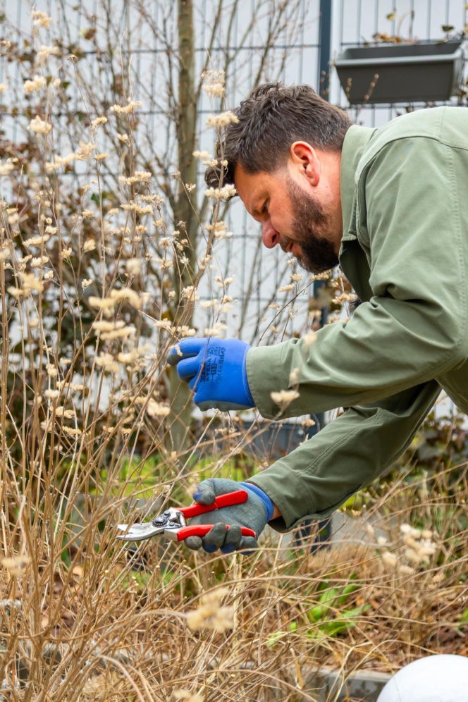 Wiosenne porządki w ogrodzie