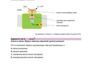 Arkusz maturalny CKE - biologia rozszerzona 2026