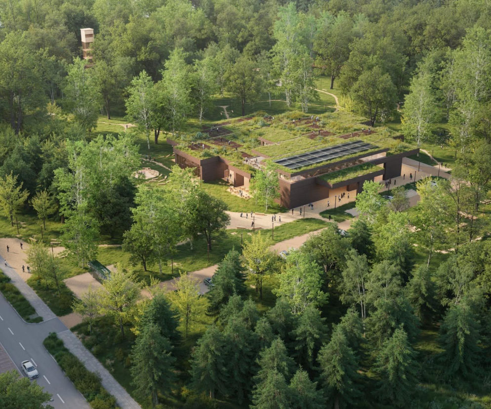 Wizualizacja Xylopolis w Hajnówce z zielonym dachem pośród lasu. O projekcie WXCA przeczytasz na serwisie Architektura.
