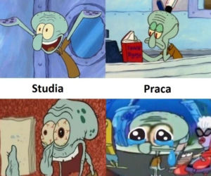 Memy o pracy