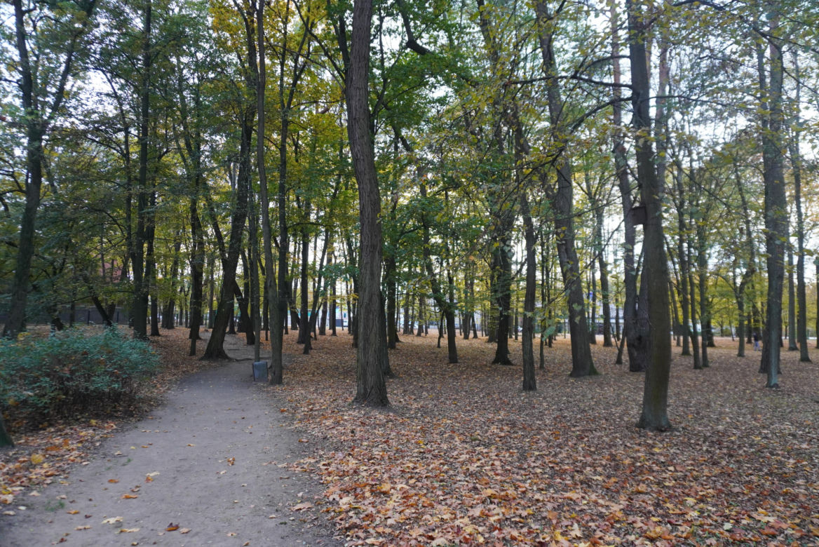 Park Lubomirskich w Białymstoku jesienią 