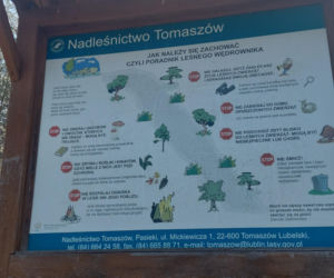 52. Rajd Spotkanie z wiosną