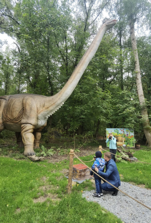 Warszawiacy pomogli ukraińskiemu zoo. Ogromny transport darów dla zwierząt już dotarł na miejsce