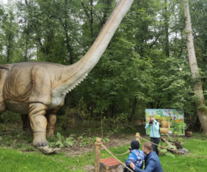 Warszawiacy pomogli ukraińskiemu zoo. Ogromny transport darów dla zwierząt już dotarł na miejsce