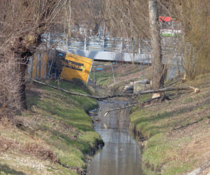 Bobry grasują na mieście [GALERIA]