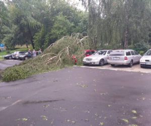 Przez Lublin przeszła potężna nawałnica. Trwa usuwanie jej skutków. 