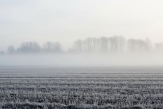 IMGW wydaje ostrzeżenia dla Polski. Które regiony czekają przymrozki i mgły?