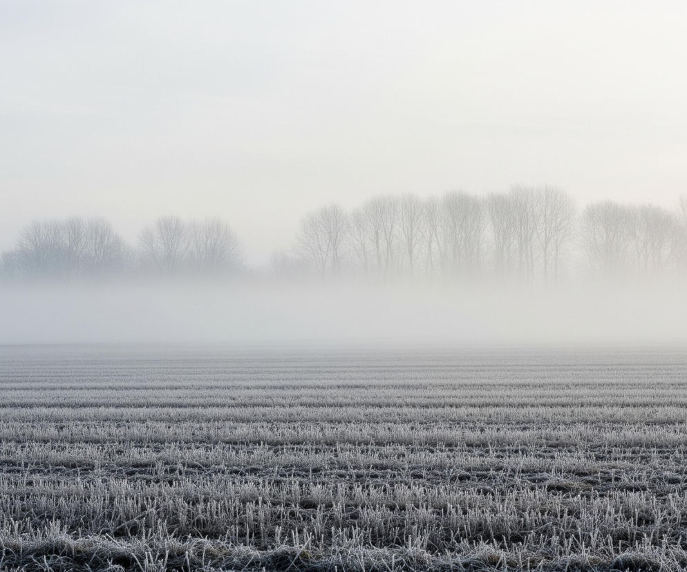 Zamrożone ściernisko rozciąga się na pierwszym planie, pokryte warstwą szronu, tworząc równoległe pasy jasnego koloru. Pole stopniowo zanika w gęstej, białej mgle, która unosi się ponad jego powierzchnią. Na horyzoncie, częściowo przesłonięte mgłą, widoczne są zarysy nagich drzew, tworzące ciemniejszą linię na tle jasnego, zamglonego nieba. Całość utrzymana jest w chłodnych odcieniach szarości, bieli i błękitu, co podkreśla zimową atmosferę.