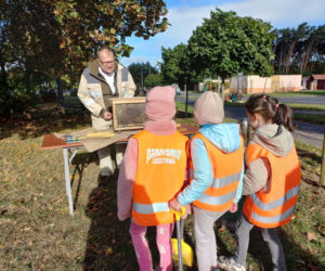 Posadzili ponad 30 drzew na Alejach Konstytucji 3 Maja w Lesznie. Wybrano trzy gatunki