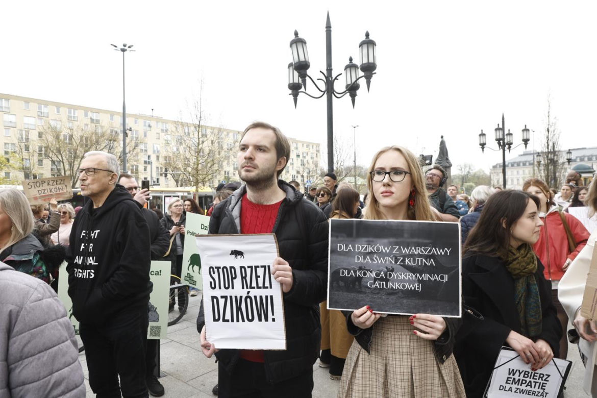 Warszawa. Protest w obronie dzików