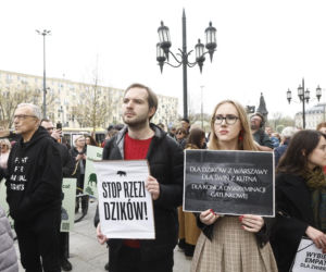 Warszawa. Protest w obronie dzików
