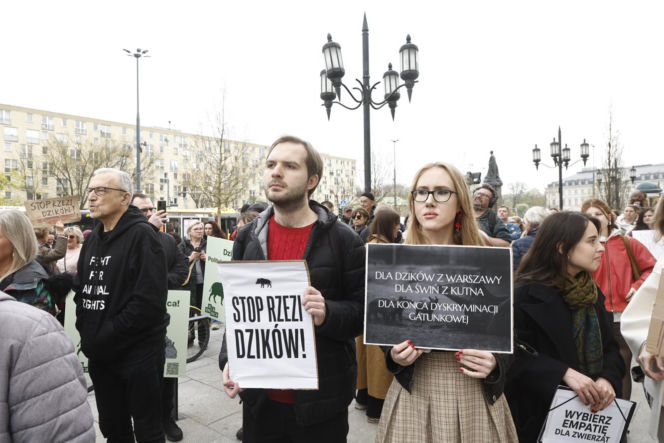 Warszawa. Protest w obronie dzików