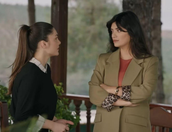 Wichrowe wzgórze odc. 346