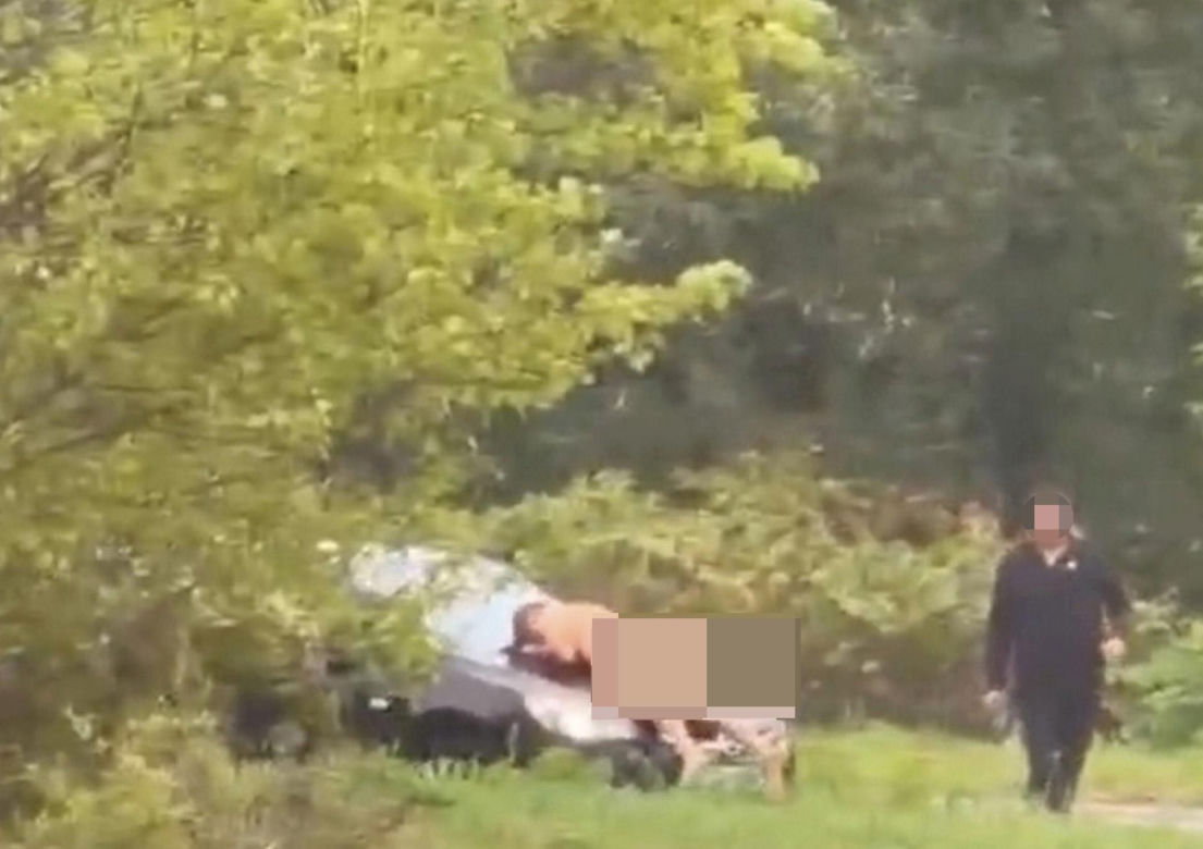 Nagi mężczyzna z maczetą biegał po ulicy! Policjanci użyli paralizatora