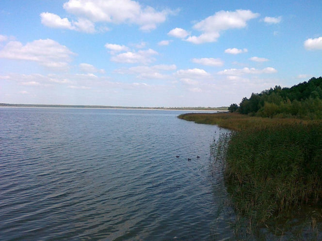 Oto najnudniejsza atrakcja turystyczna w województwie śląskim. Spacer i długo, długo nic