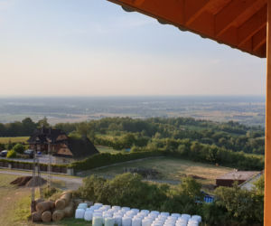 Wieża widokowa w Dąbrówce Szczepanowskiej