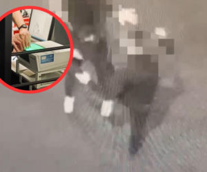 Brutalnie skatowali ofiary i wszystko nagrywali