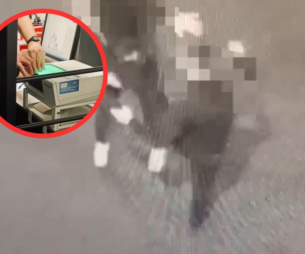 Brutalne pobicie w Nysie. Sprawcy nagrywali telefonami przebieg zdarzenia