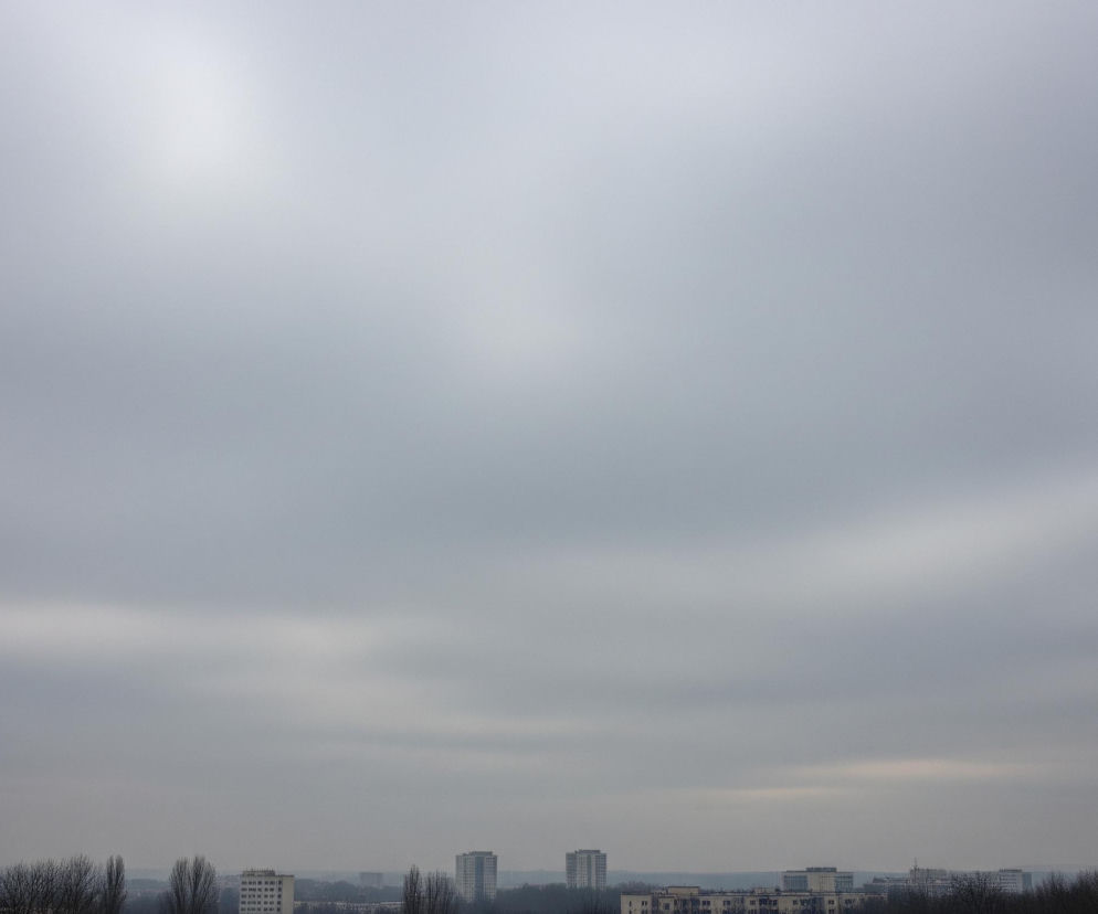 Pochmurne niebo w odcieniach szarości i bieli dominuje większą część kadru, z jaśniejszym obszarem w lewej górnej części, sugerującym położenie słońca. Poniżej, na horyzoncie, rozciąga się panorama miasta z licznymi budynkami mieszkalnymi, wśród których wyróżniają się kilkupiętrowe bloki oraz wyższe wieżowce. Dolną część obrazu wypełnia ciemny pas nagich drzew i krzewów, tworząc gęstą linię oddzielającą miasto od widza.