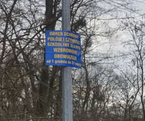 Zignorował zakaz połowu ryb. Teraz grozi mu nawet 2 lata więzienia!