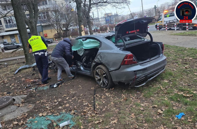 Wjechał na trawnik i uderzył w drzewo. Szokujący powód