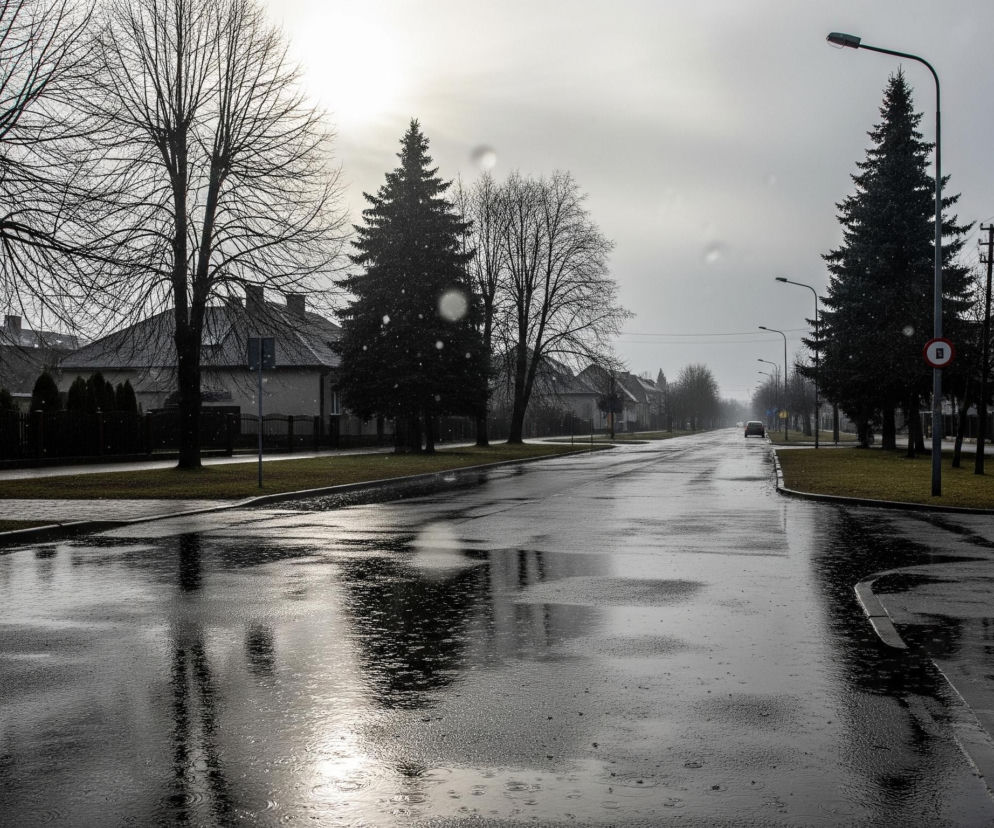 Mokra, asfaltowa droga biegnie przez centrum kadru, odbijając światło w kałużach, z widocznymi koncentrycznymi kręgami na powierzchni wody. Po obu stronach drogi rozciągają się chodniki i zielone trawniki, za którymi stoją domy mieszkalne i liczne drzewa, zarówno liściaste bez liści, jak i iglaste. Szare, zachmurzone niebo z jasnym przebłyskiem słońca w lewym górnym rogu nadaje scenie melancholijny, zimowy charakter. Z daleka, na drodze, widoczny jest pojedynczy, jasny samochód.