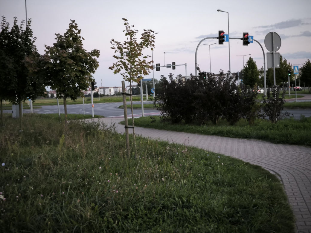 Ulica Antonińska w Lesznie