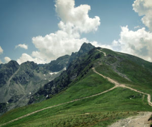 Świnica