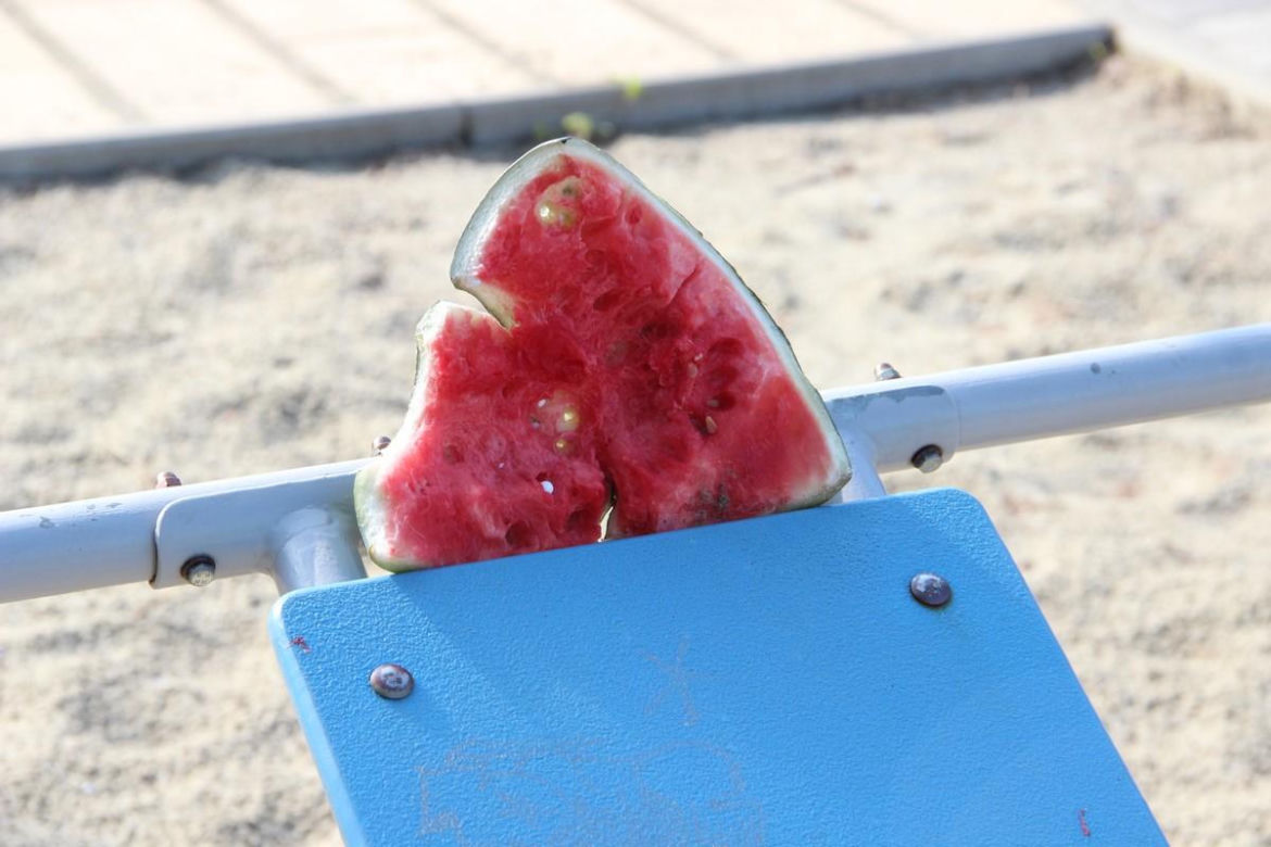 Chuligani zaśmiecają skatepark w gminie Jedlicze