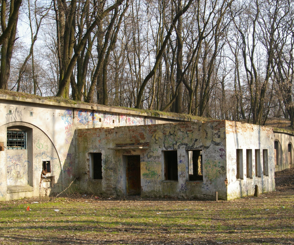Drzewa wycięte i petycja oficjalnie odrzucona. Na nic zdał się opór mieszkańców ws. wycinki przy Forcie Batowice