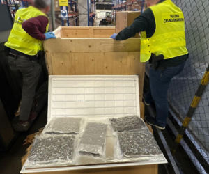 Miały być panele ledowe z Kanady, było dużo więcej. Narkotyki warte grube miliony!