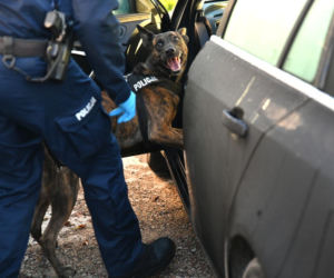 Policja rozbiła grupę handlującą narkotykami. Zatrzymano 12 osób