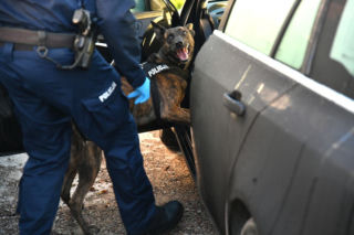 Policja rozbiła grupę handlującą narkotykami. Zatrzymano 12 osób