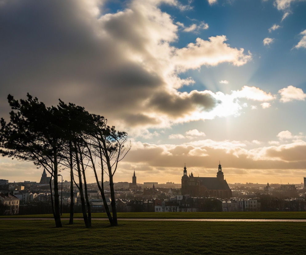 Na pierwszym planie, w dolnej części obrazu, rozciąga się zielony trawnik, przecięty poziomą, utwardzoną ścieżką w odcieniach beżu i brązu. Po lewej stronie trawnika widać pojedyncze, ciemne sylwetki drzew, natomiast pośrodku kadru znajduje się kępa pięciu wysokich drzew z ciemnymi pniami i rozwichrzonymi koronami, niemal czarnymi na tle jasnego nieba. Za nimi rozpościera się panorama miasta, z licznymi budynkami i wyraźnie widocznymi wieżami kościołów o spiczastych i kopulastych zakończeniach, których sylwetki są częściowo zaciemnione przez cień i odległość.

Horyzont stanowi linię podziału między miejskim krajobrazem a niebem, które zajmuje większą część górnej połowy obrazu. Niebo jest dynamiczne, z fragmentami błękitu przeplatającymi się z puszystymi, szaro-białymi chmurami, przez które przebija się słońce, tworząc promieniste smugi światła rozchodzące się na tle nieba i barwiące chmury na złocisto-pomarańczowy kolor. Po prawej stronie trawnika, na tle panoramy miasta, biegnie postać człowieka w ciemnych spodniach, jasnej kurtce i czapce, z plecakiem na plecach.