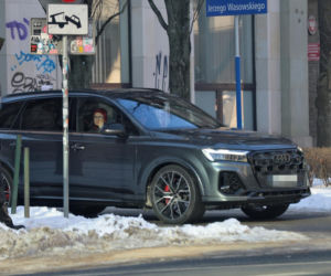 Tomasz Karolak  i Viola Kołakowska na spacerze