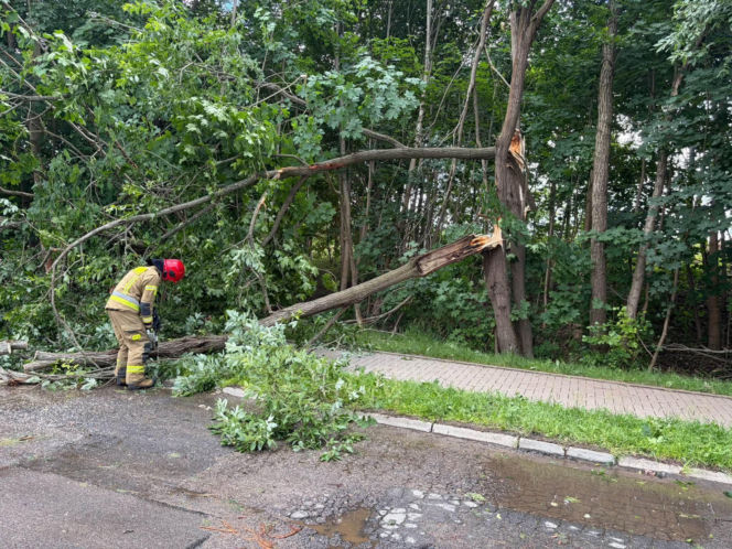 Drzewa na drogach i budynkach. Zniszczone namioty harcerzy. Walka z żywiołem  na Warmii i Mazurach