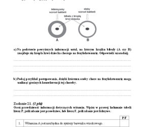 Arkusz biologia podstwowy matura 2014