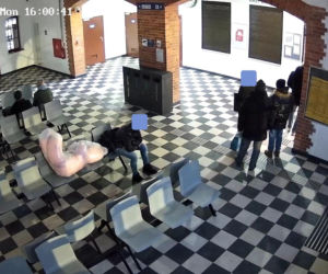 Kradzież pluszowego misia w Szczecinku