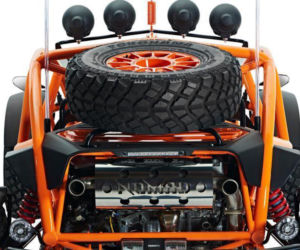 Ariel Nomad
