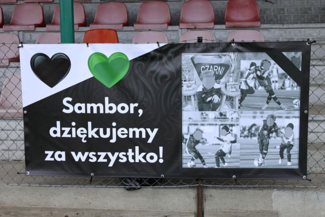 12-letni Sambor zjechał wprost pod auto. Straszny wypadek w województwie śląskim