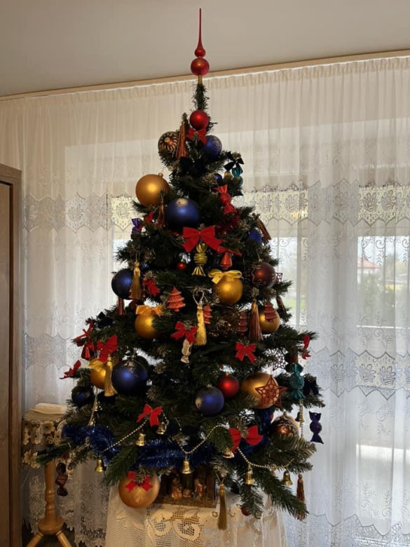 Choinki naszych Czytelników. Taki klimat tylko w woj. lubelskim!