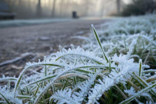 Pogoda na weekend w Opolu 10-12 kwietnia. Z każdym dniem będzie coraz cieplej