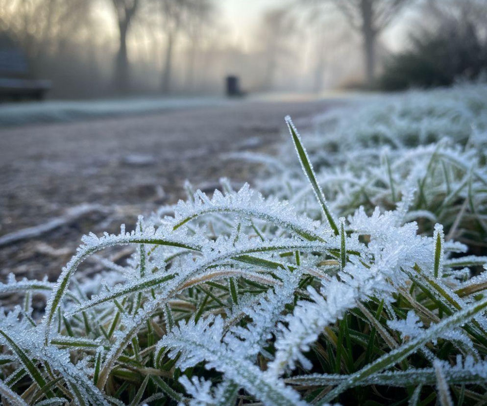 Pogoda na weekend w Opolu 10-12 kwietnia. Z każdym dniem będzie coraz cieplej