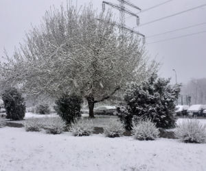 Śnieg we Wrocławiu