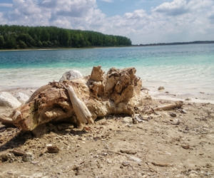 Tak wygląda Lazurowe Jezioro, które znajduje się zaledwie kilkadziesiąt kilometrów od Łodzi